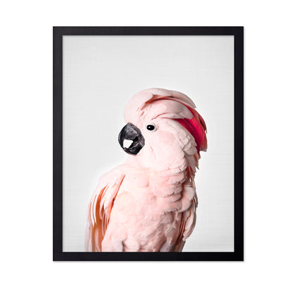 Pink Cockatoo
