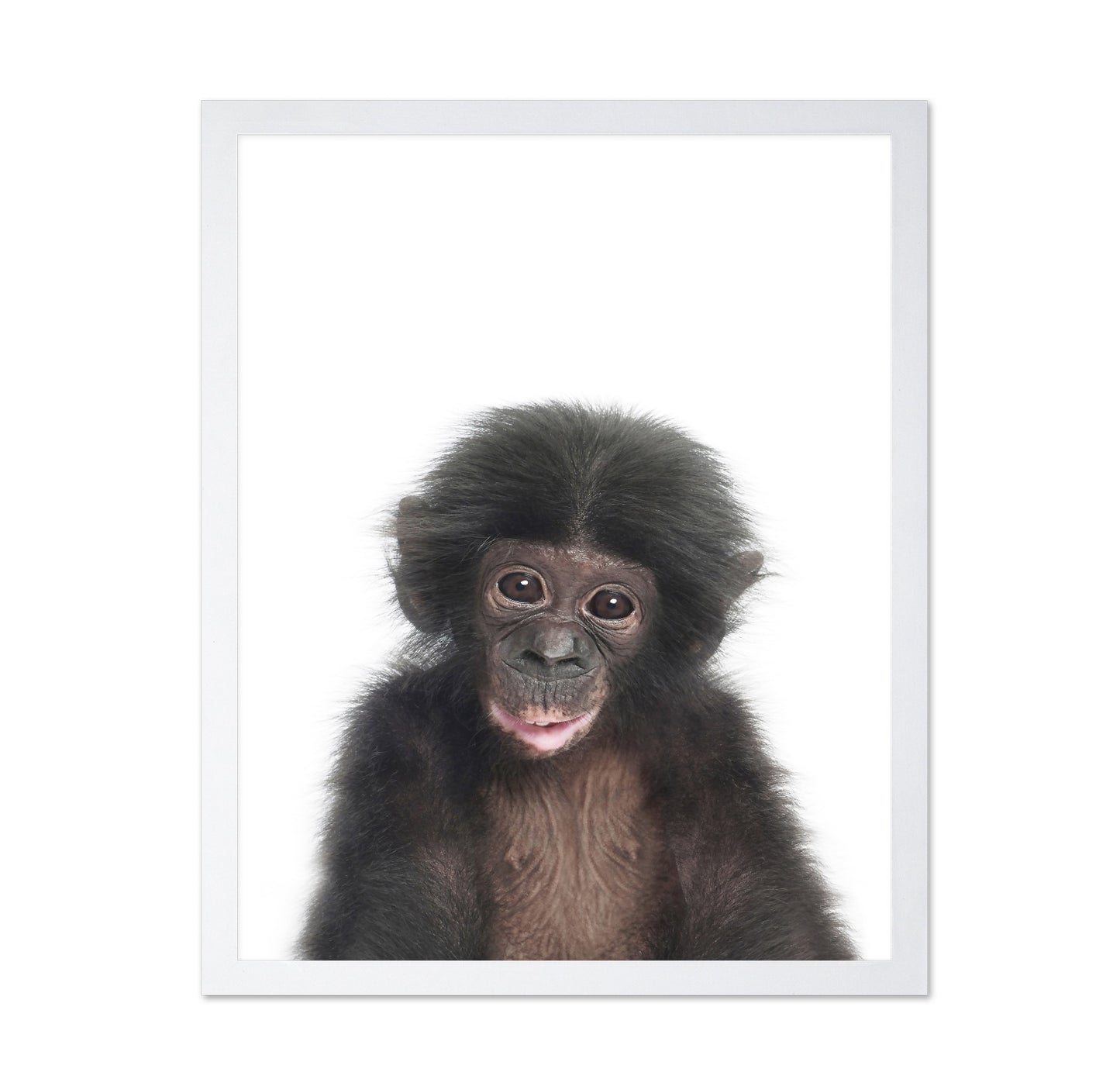 Baby Monkey