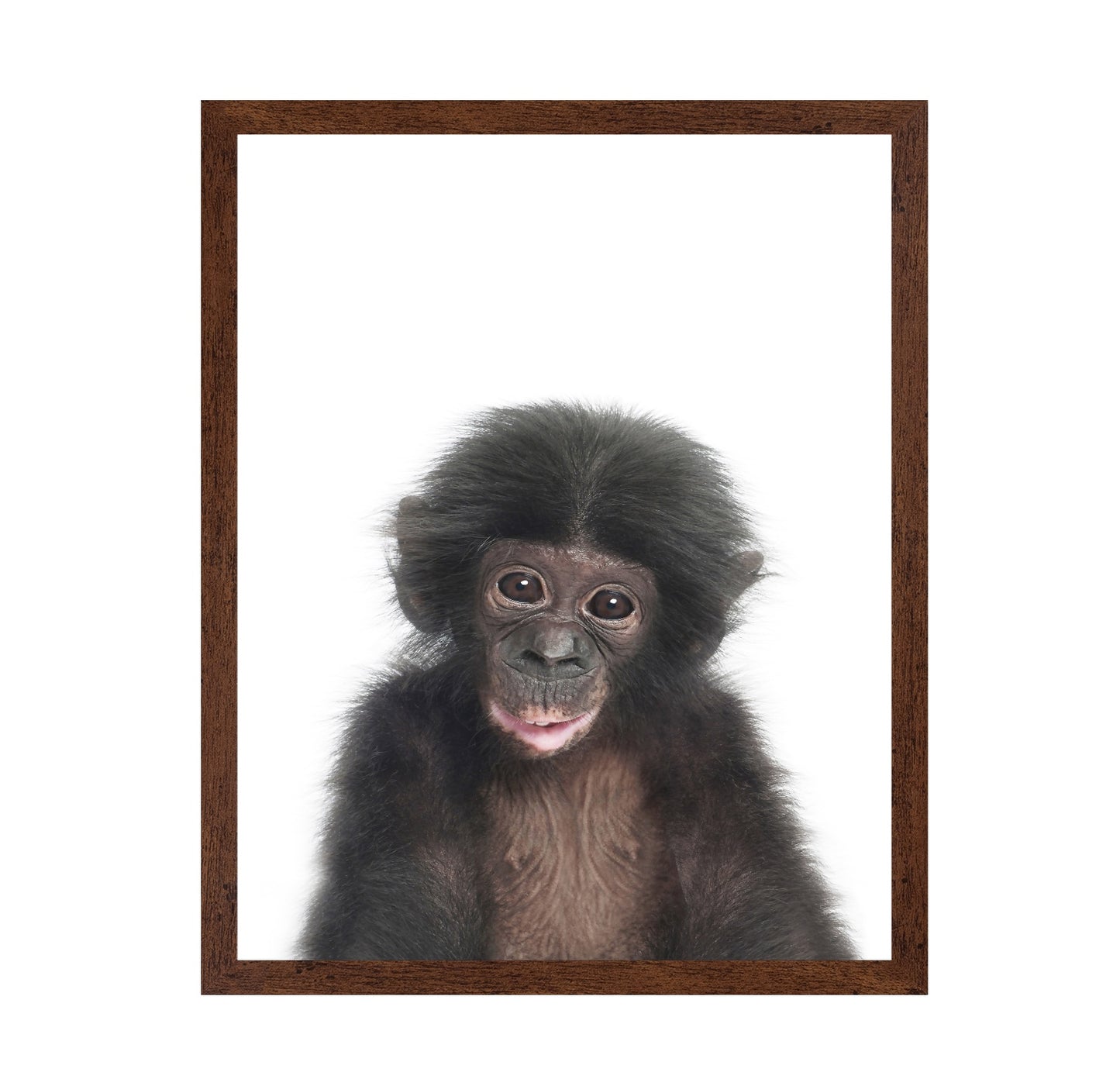 Baby Monkey