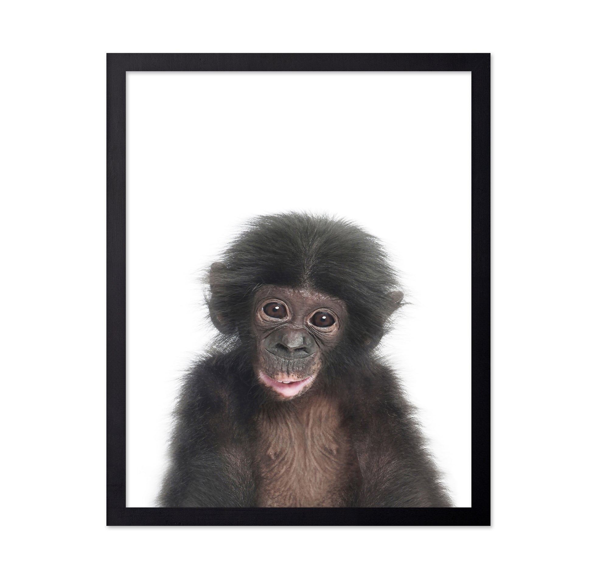 Baby Monkey