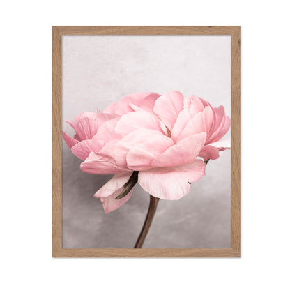 Peony