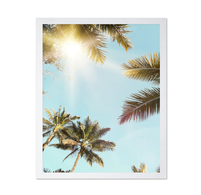 Sun Rays