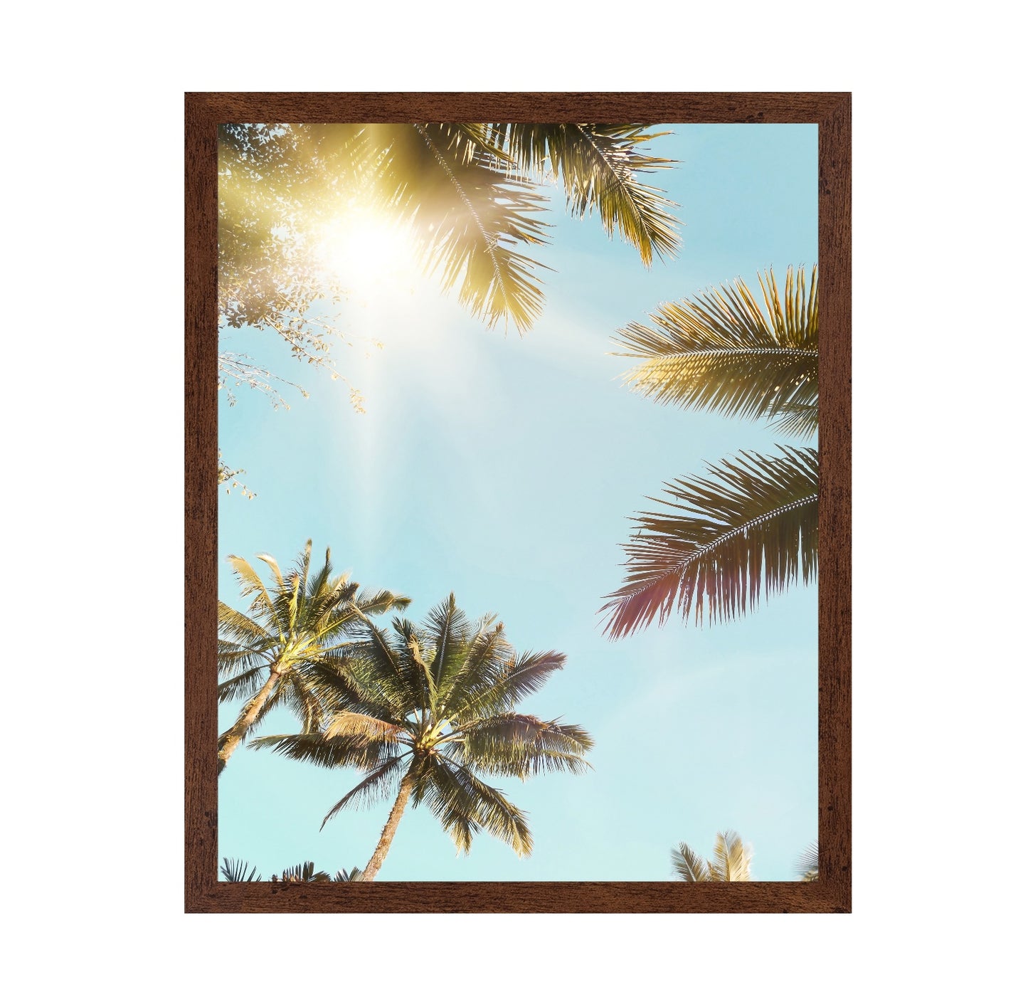 Sun Rays