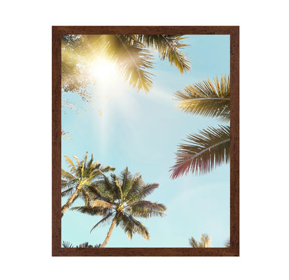 Sun Rays
