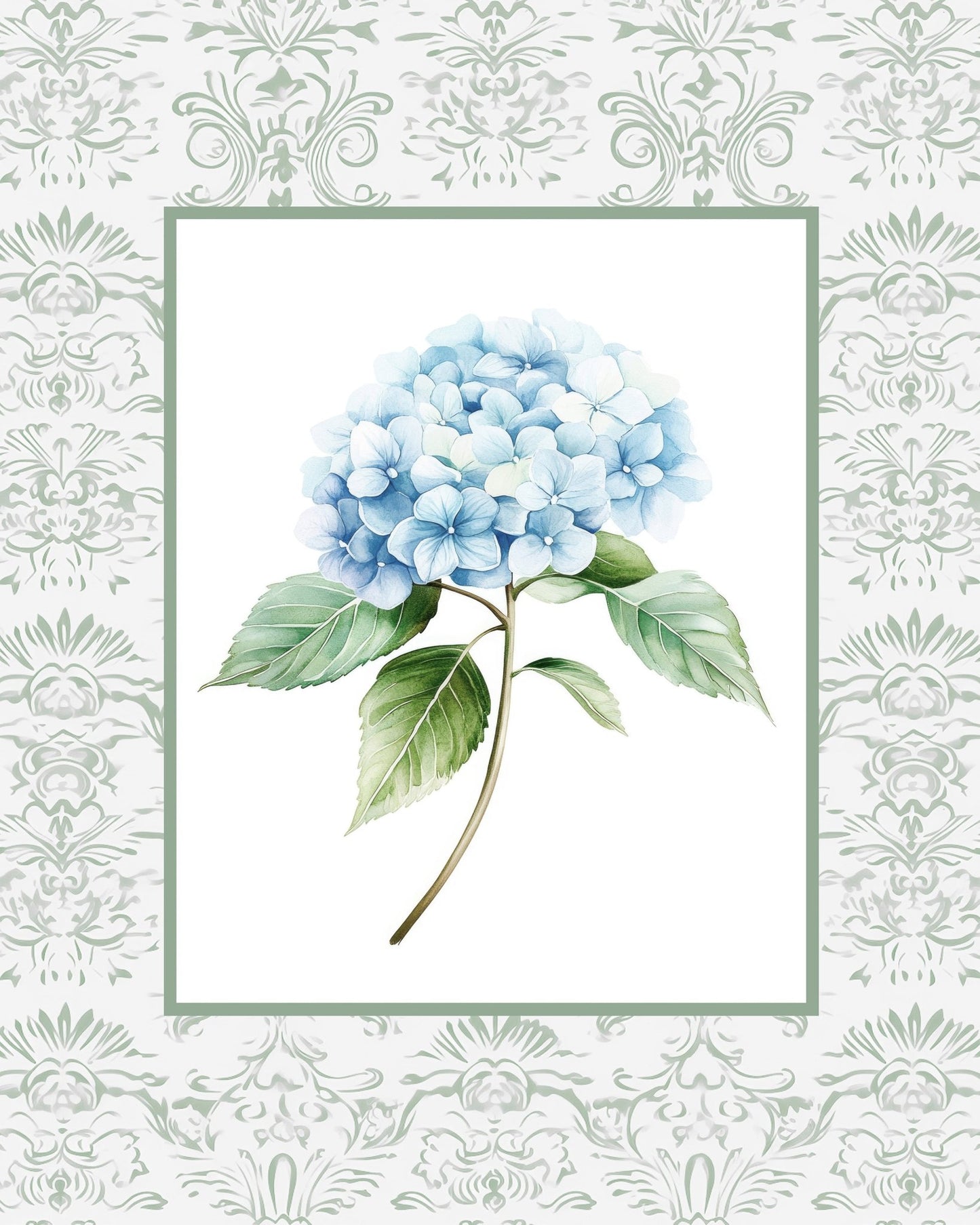 Blue Hydrangea
