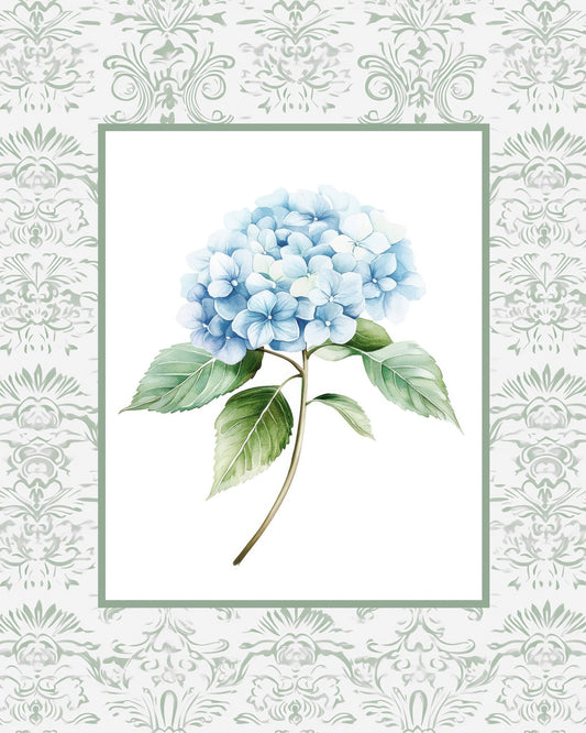 Blue Hydrangea