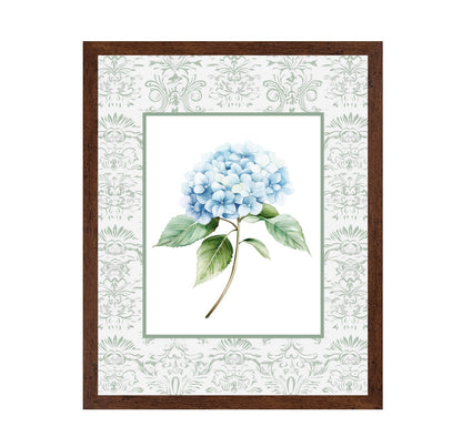 Blue Hydrangea