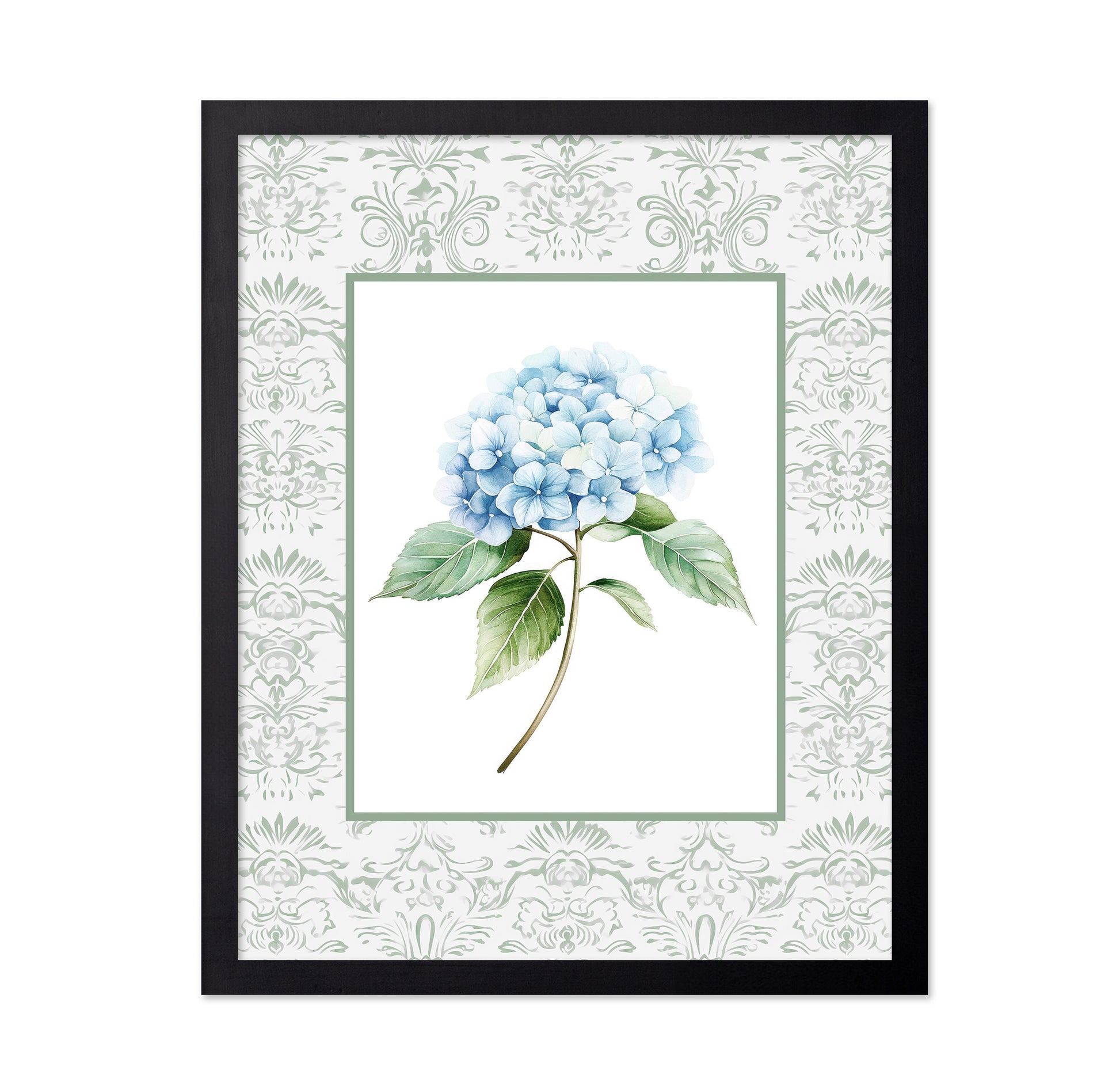 Blue Hydrangea