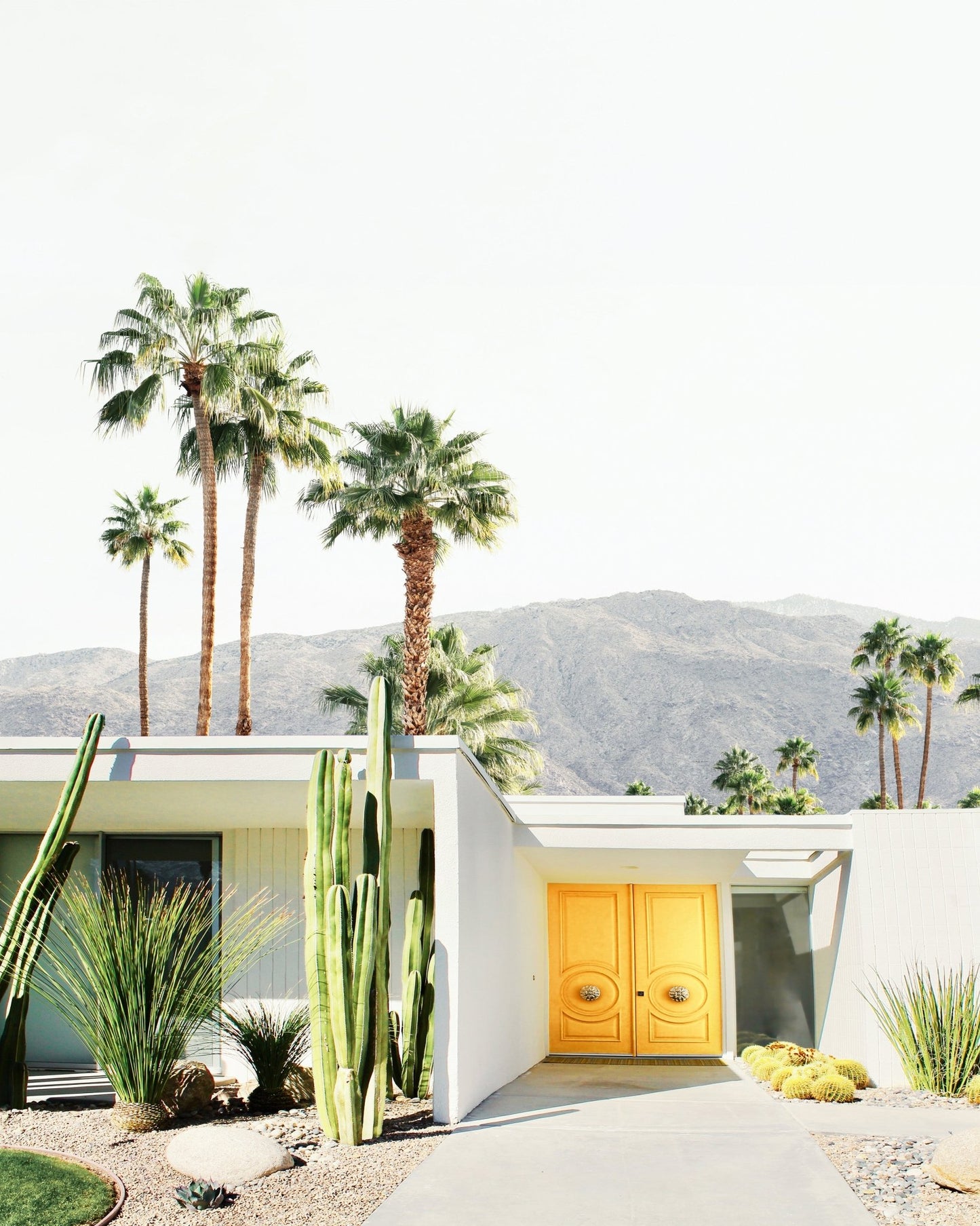 Palm Springs No 1