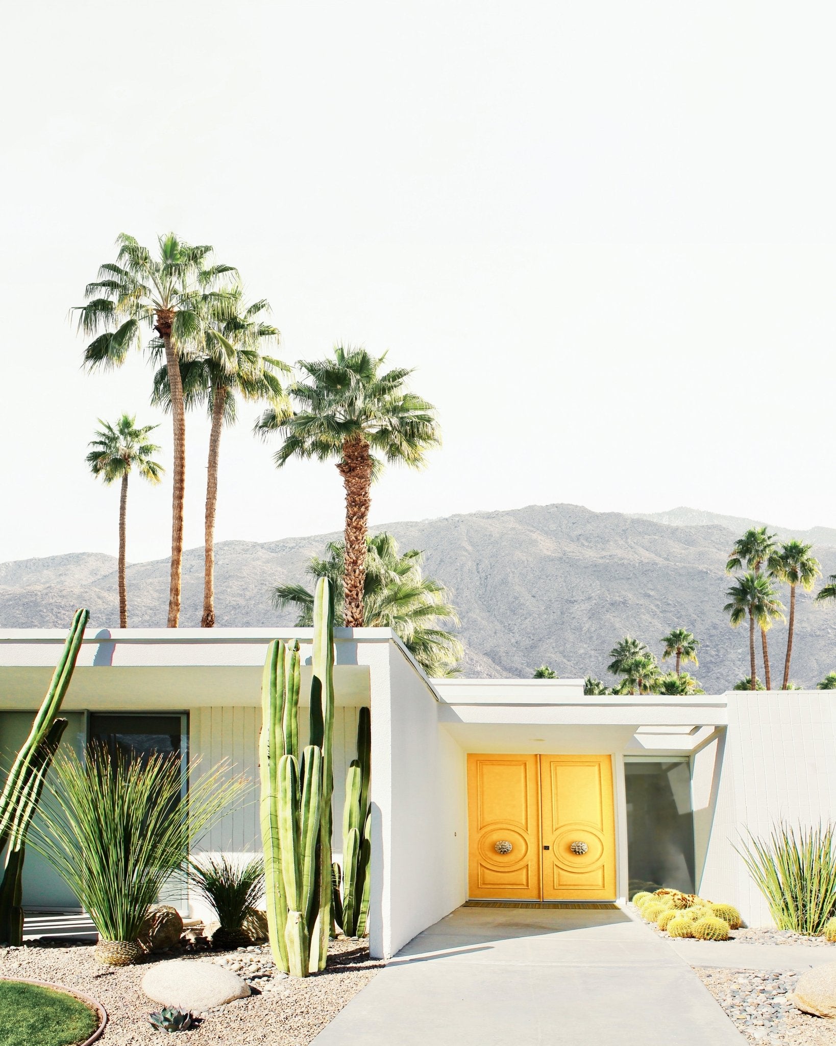 Palm Springs No 1