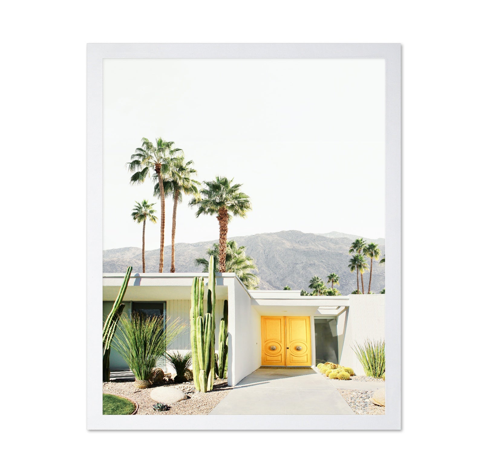 Palm Springs No 1