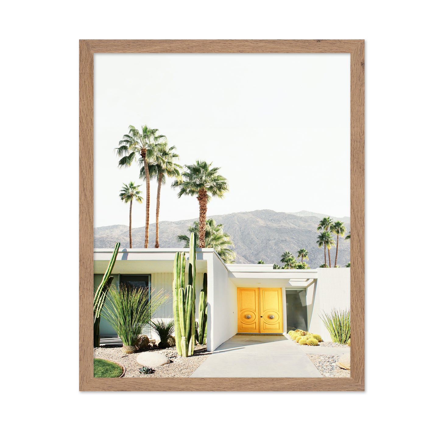 Palm Springs No 1