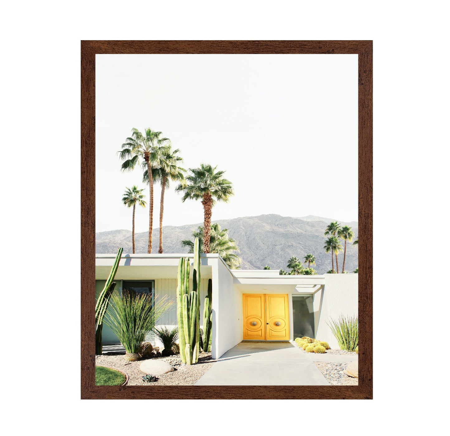 Palm Springs No 1