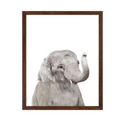 Baby Elephant