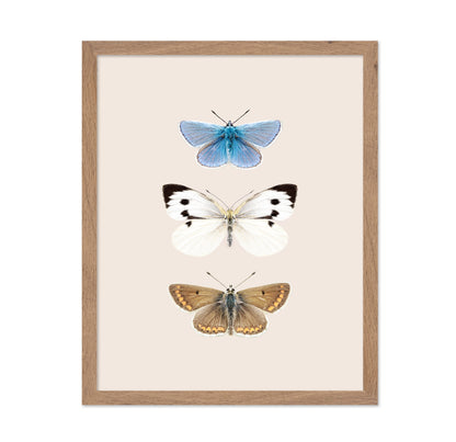 English Butterlies