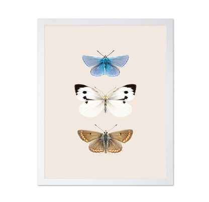 English Butterlies