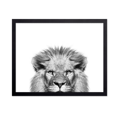 Peeking Lion