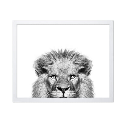 Peeking Lion