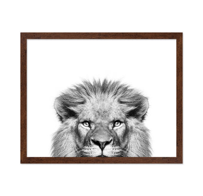 Peeking Lion