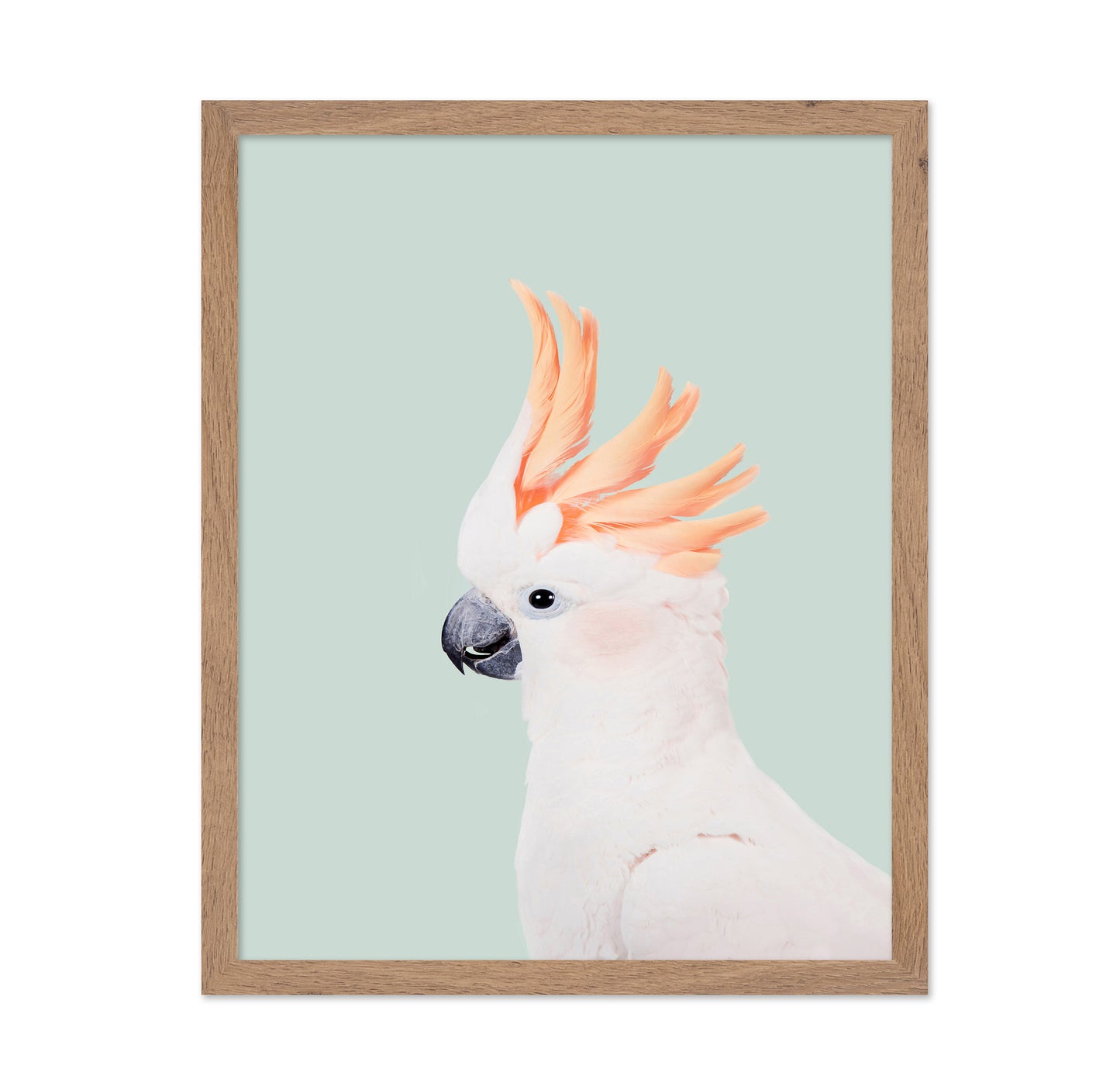 Cockatoo on Mint