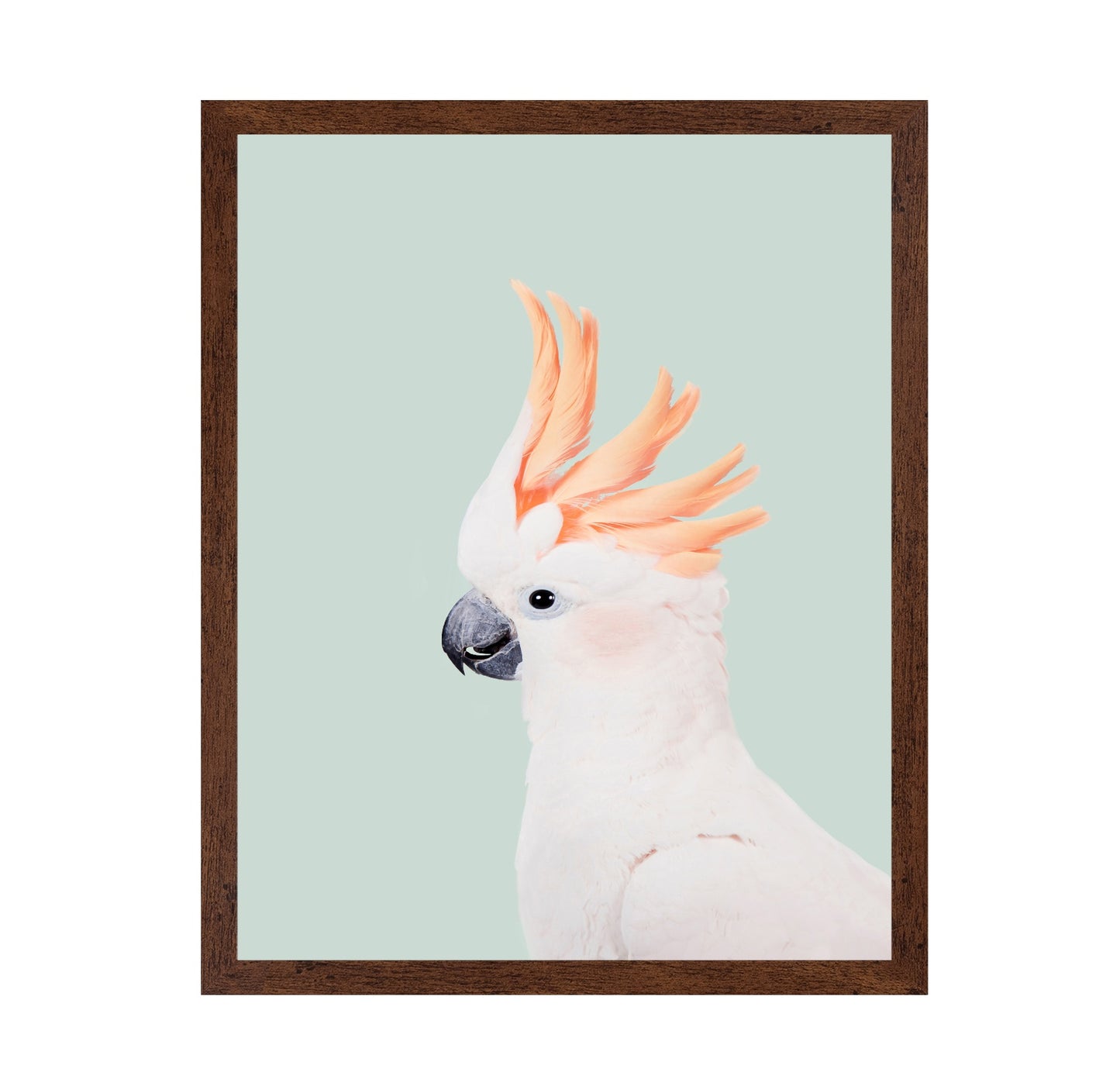 Cockatoo on Mint