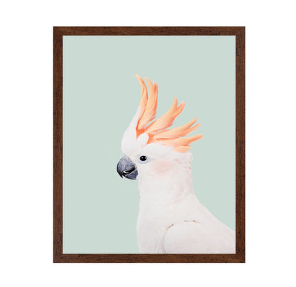 Cockatoo on Mint