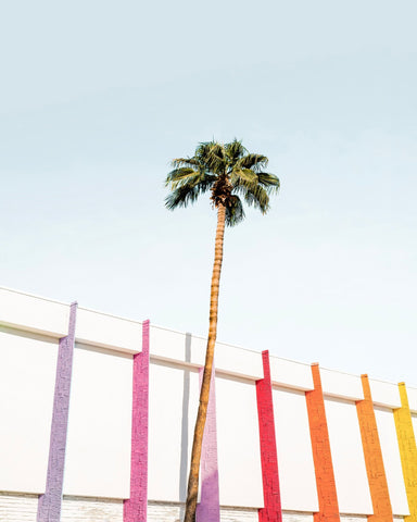 Palm Spring Colors