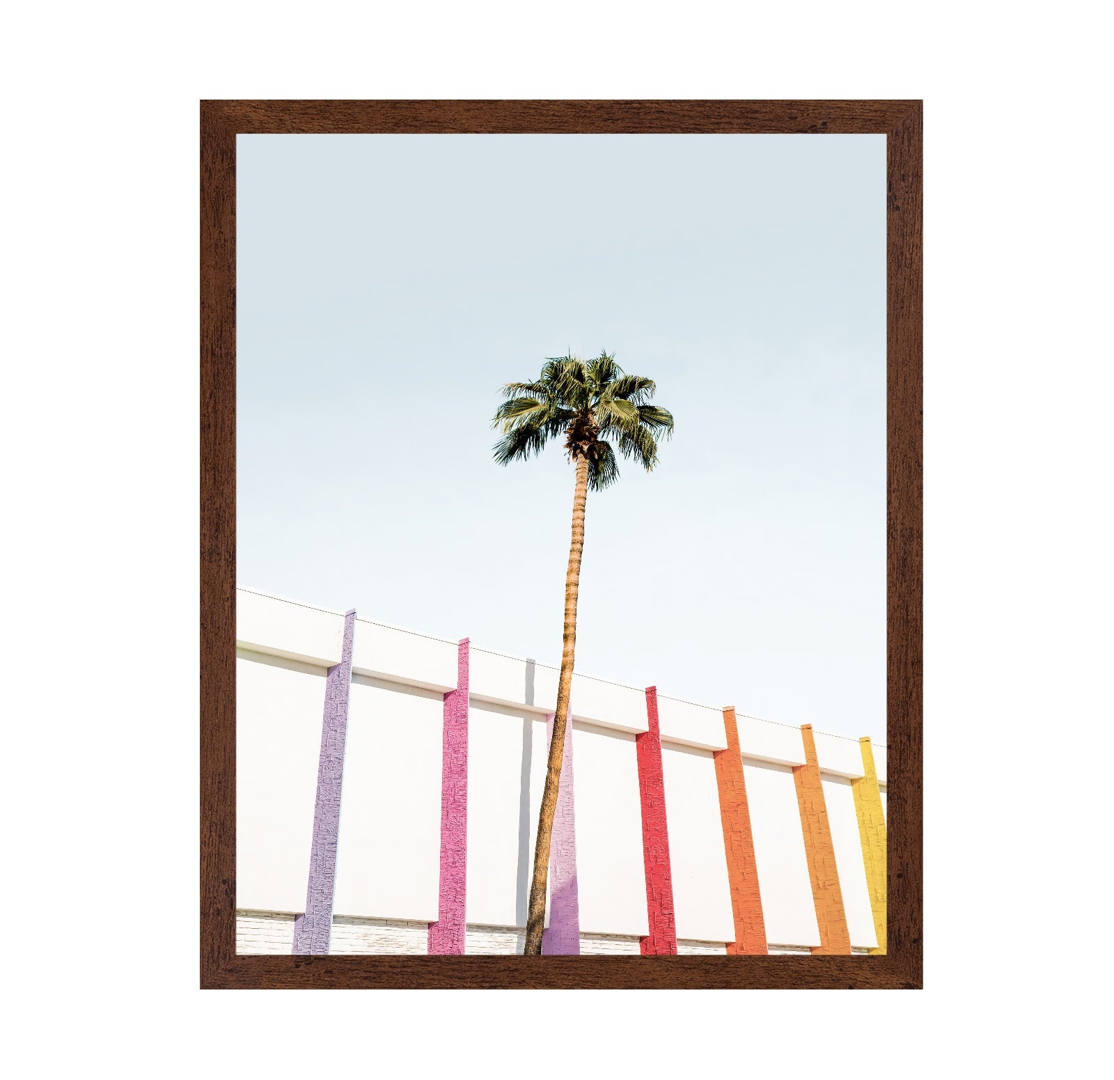 Palm Spring Colors