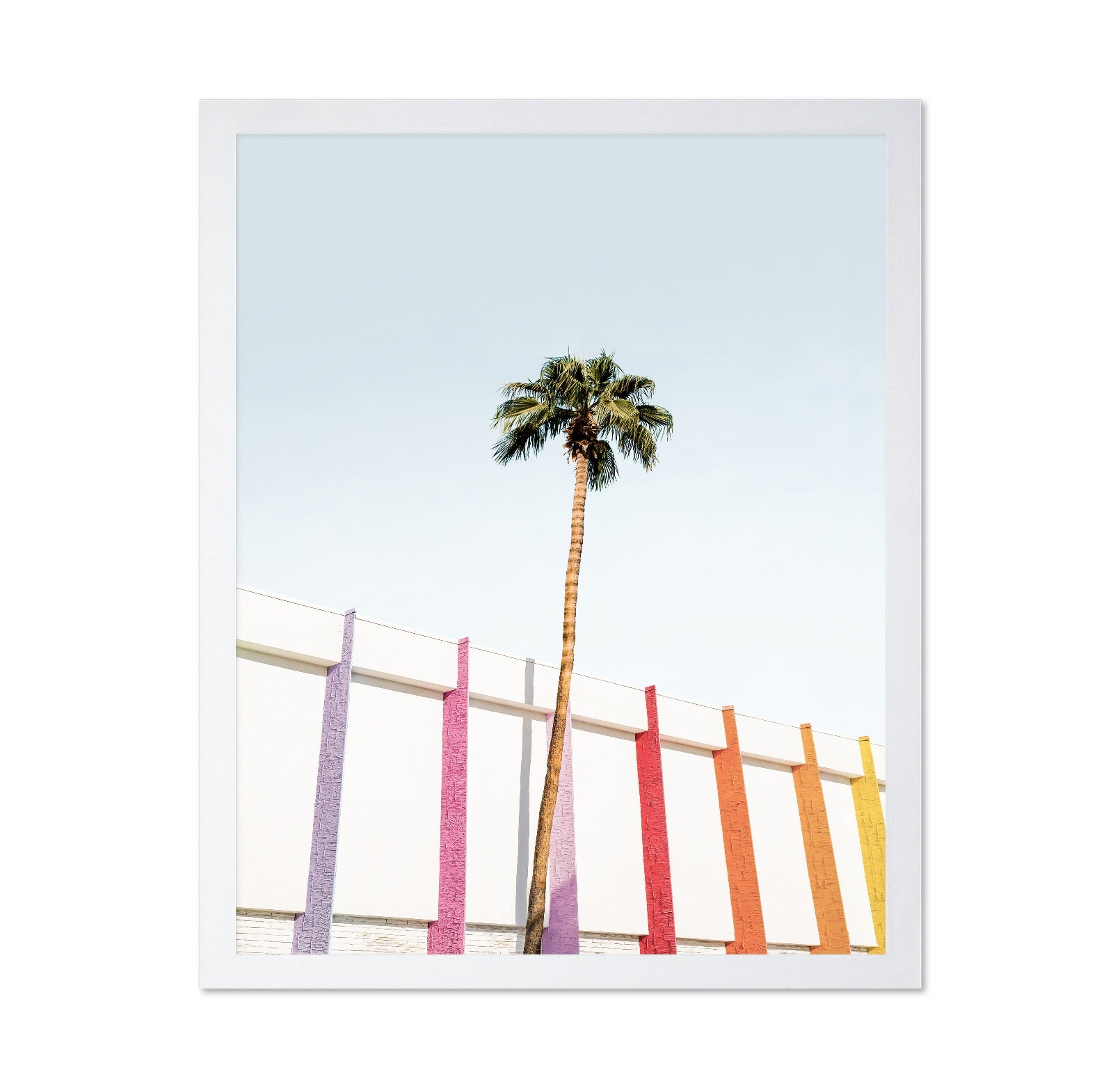 Palm Spring Colors