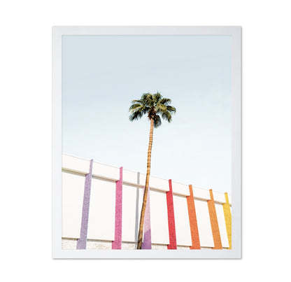 Palm Spring Colors