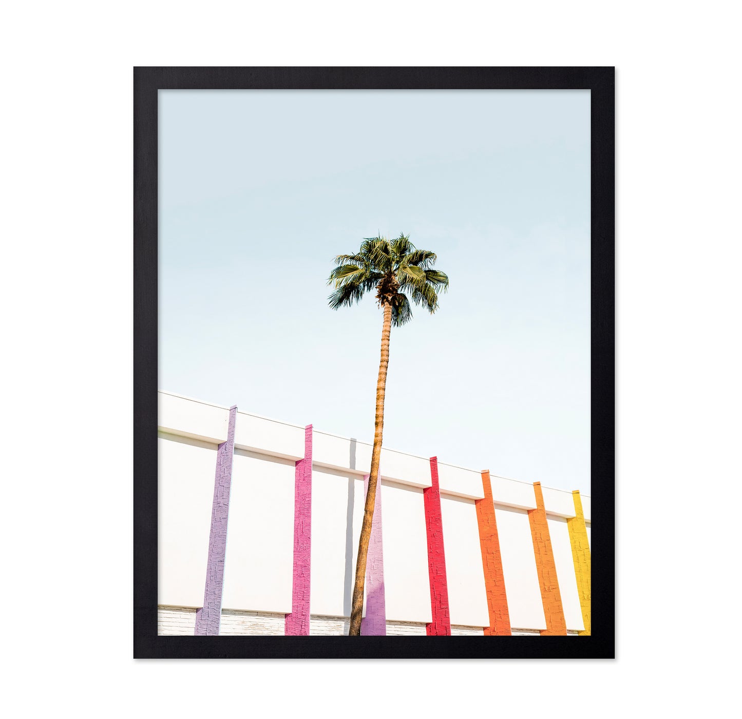 Palm Spring Colors