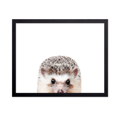 Peeking Hedgehog