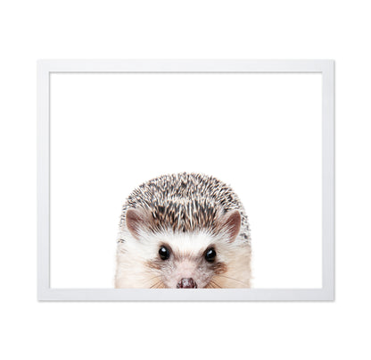 Peeking Hedgehog