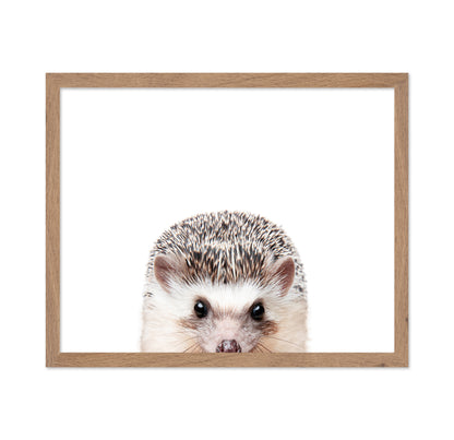 Peeking Hedgehog