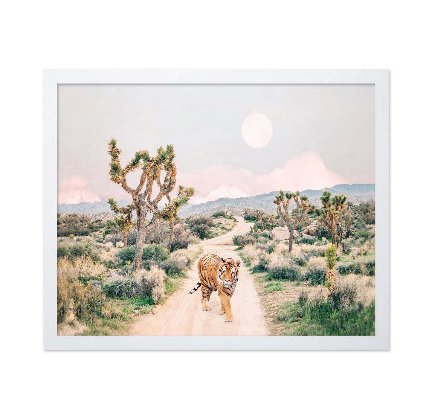 Wandering Tiger
