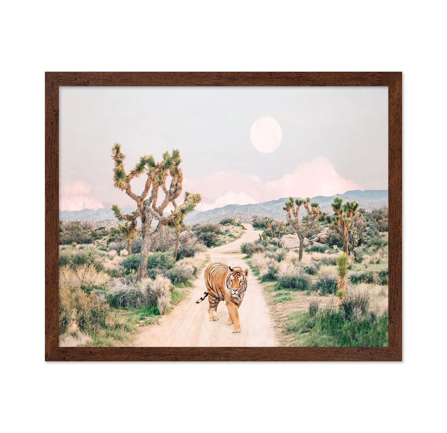 Wandering Tiger