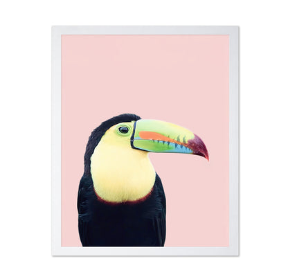 Toucan on Pink