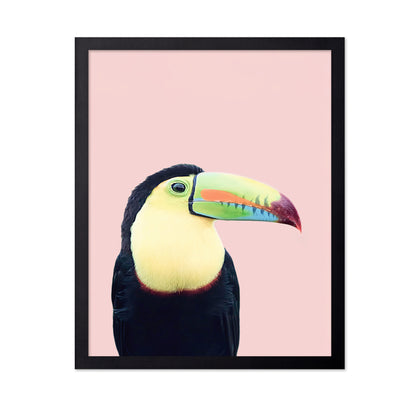 Toucan on Pink