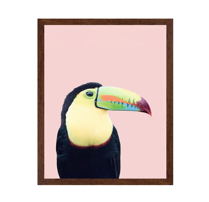 Toucan on Pink