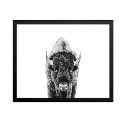 Majestic Bison