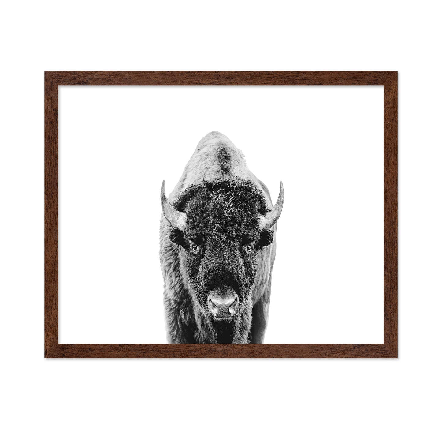 Majestic Bison