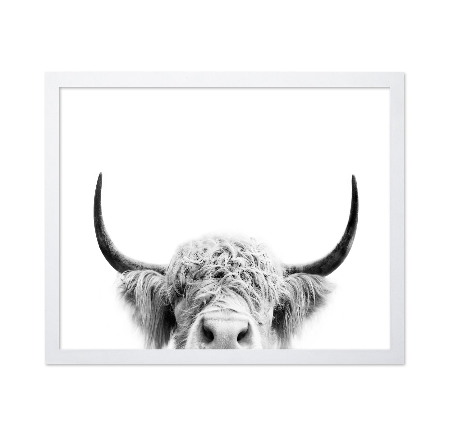 Peeking Cow