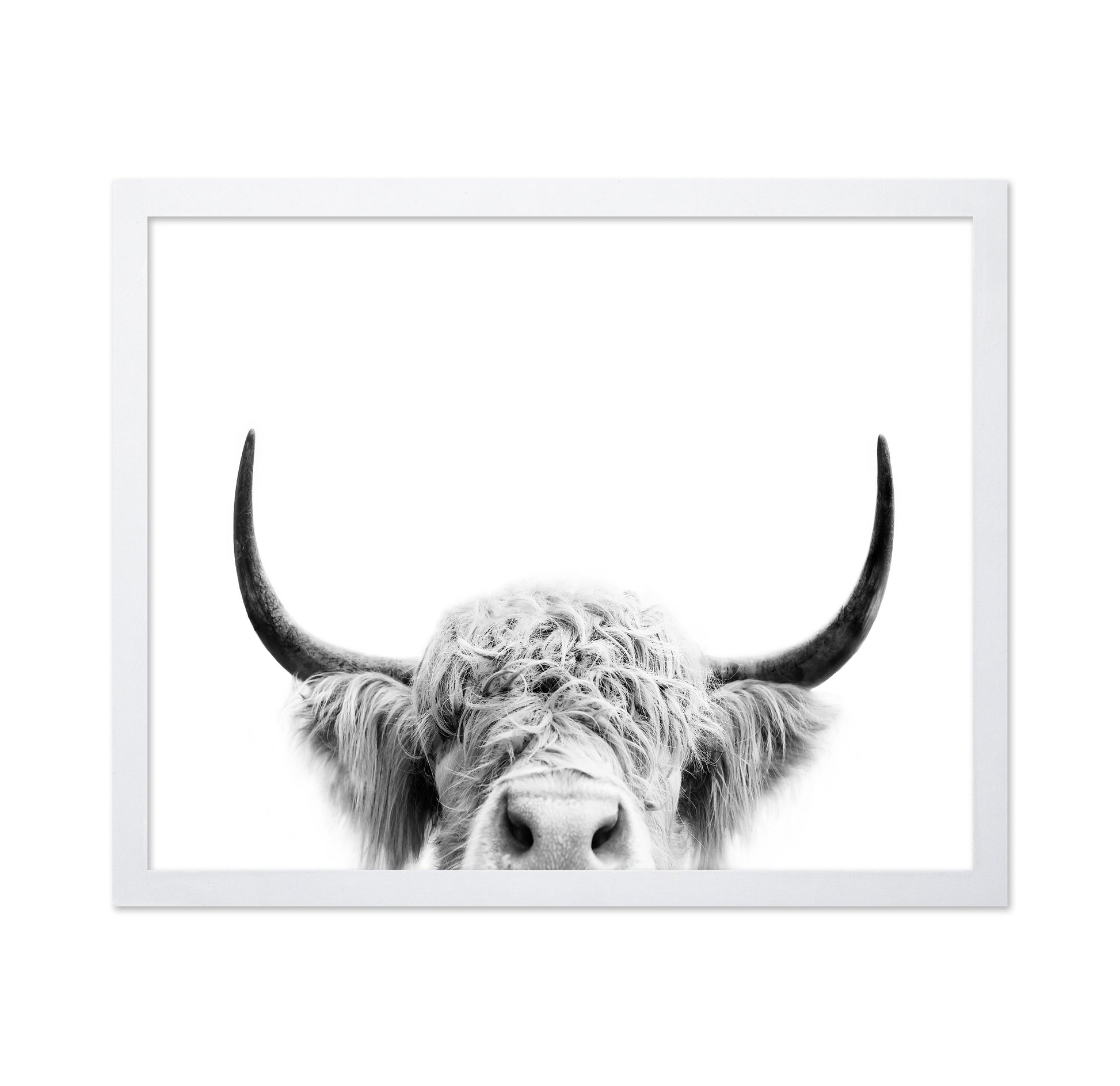 Peeking Cow
