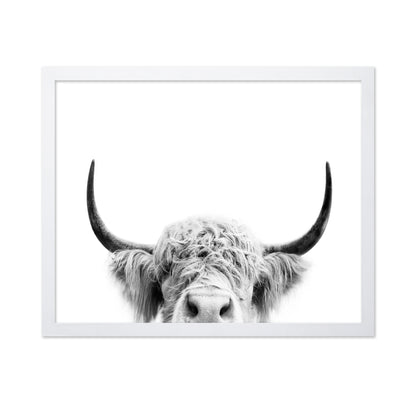 Peeking Cow