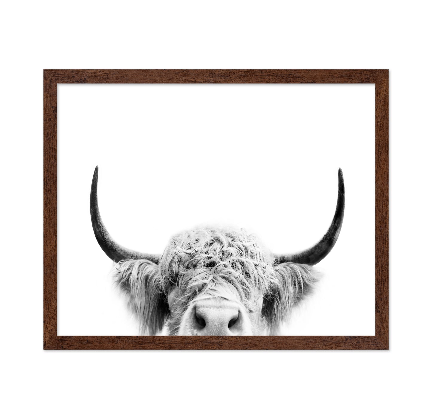 Peeking Cow