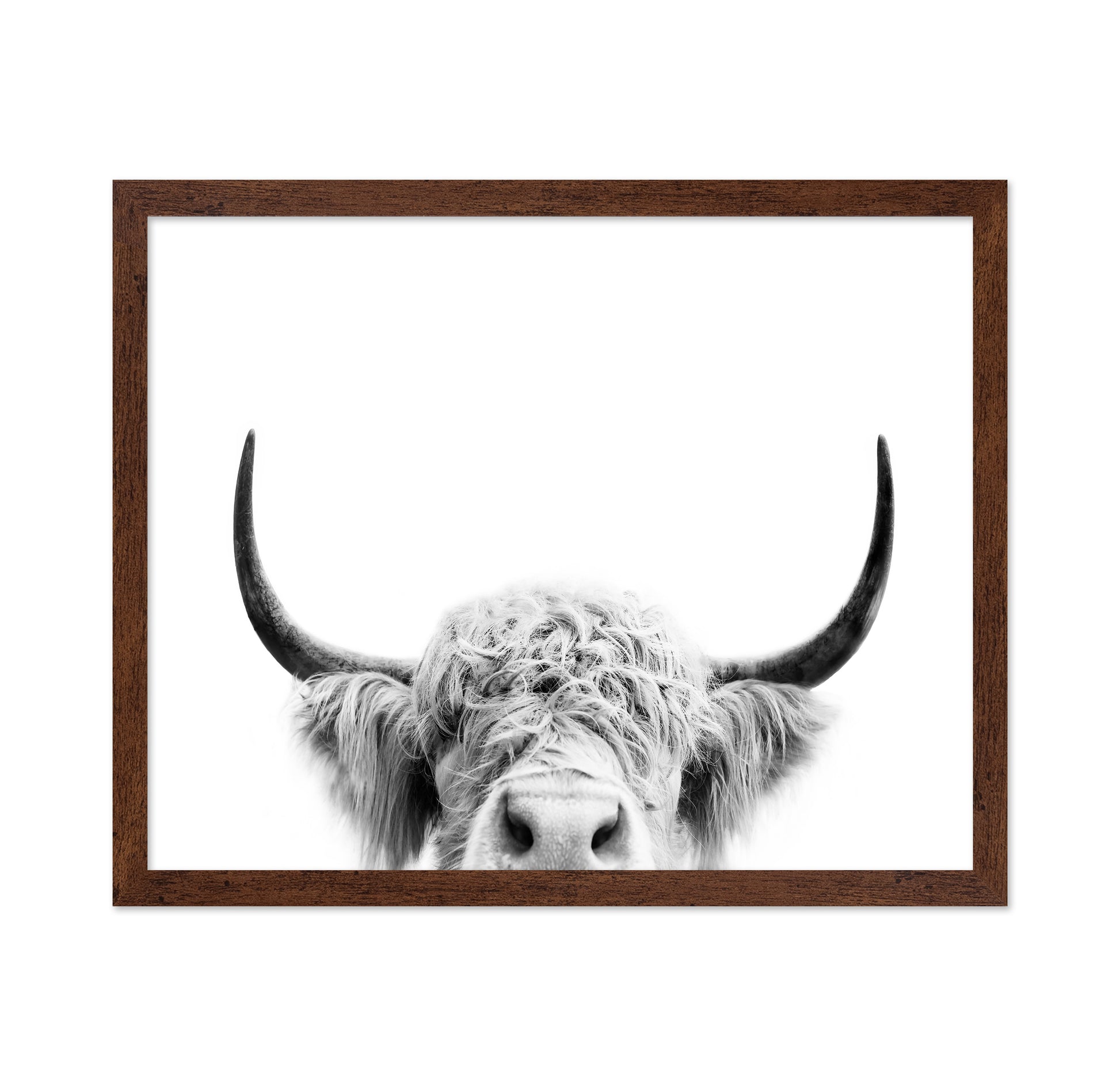 Peeking Cow