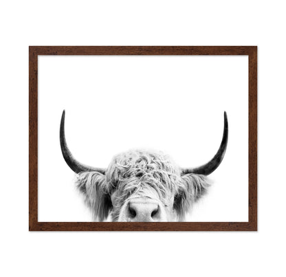 Peeking Cow