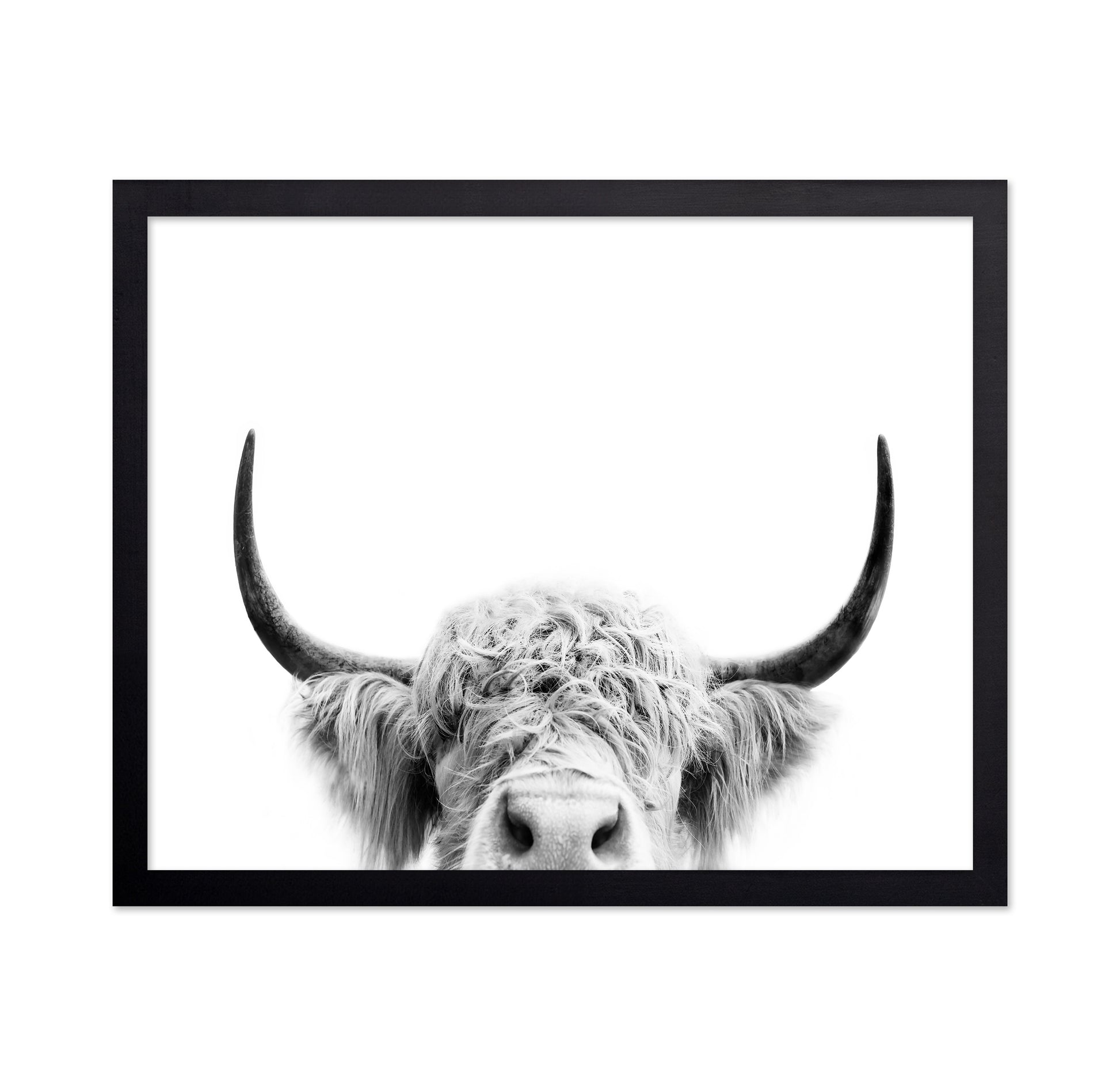Peeking Cow