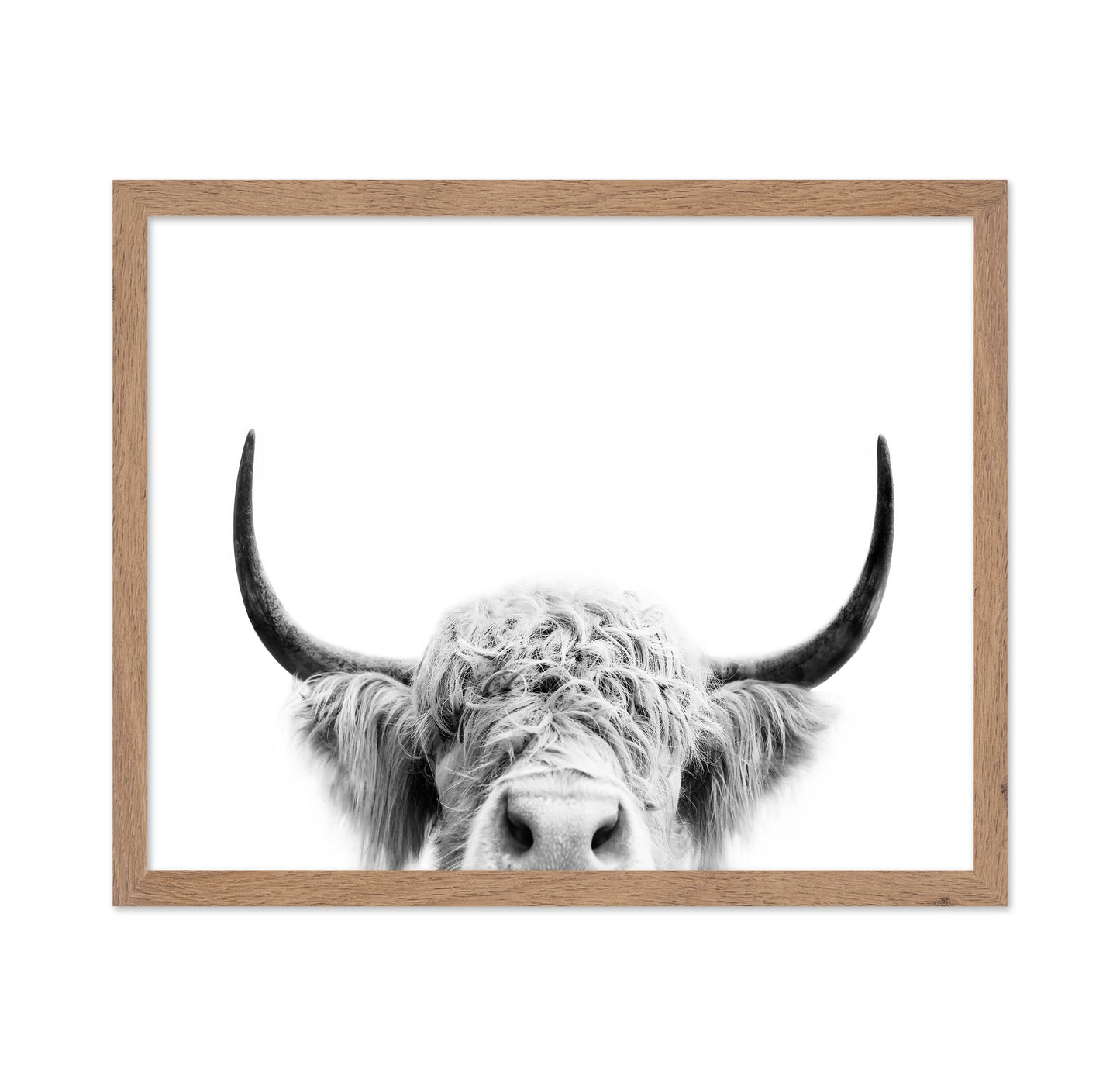 Peeking Cow