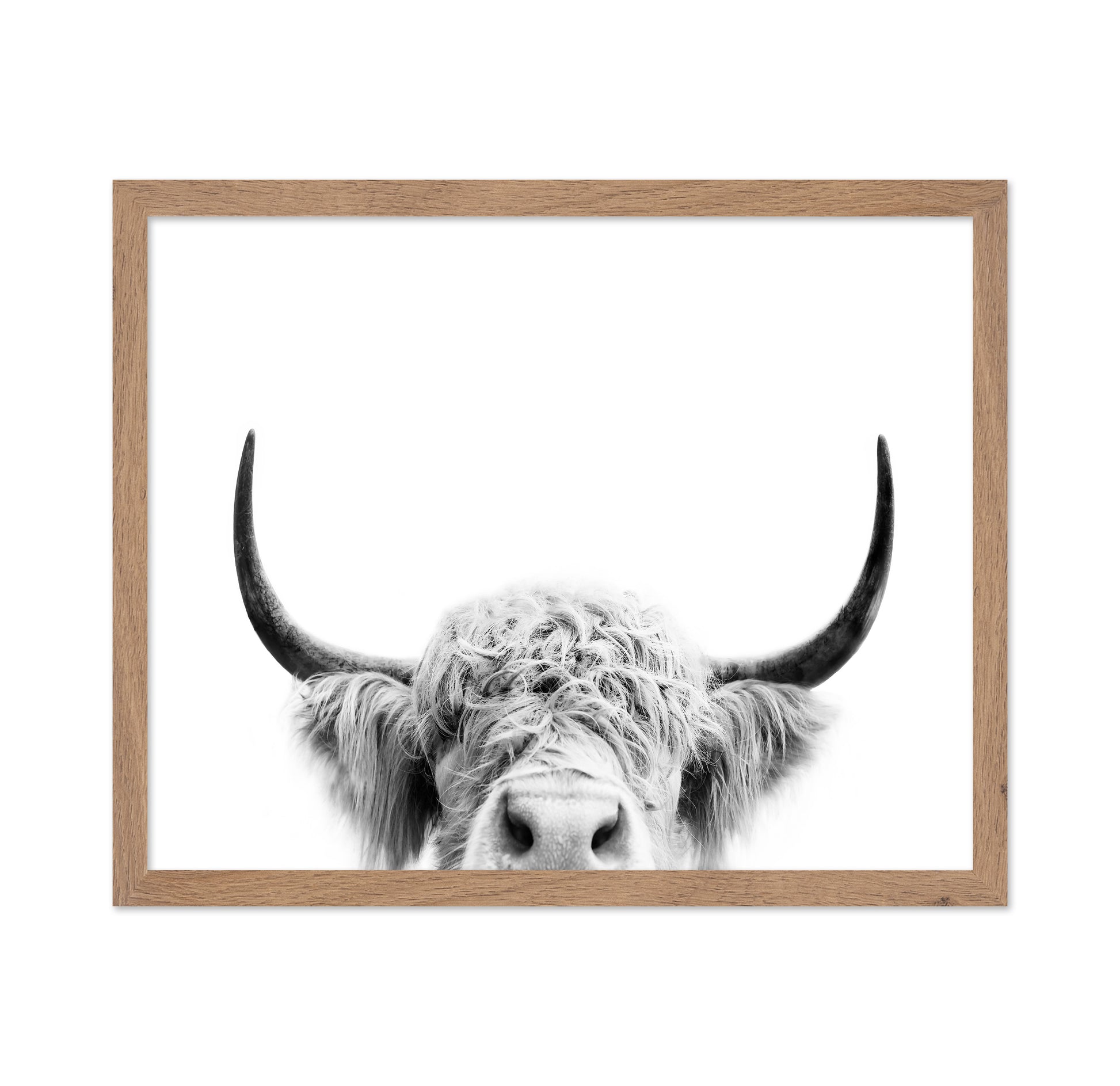 Peeking Cow